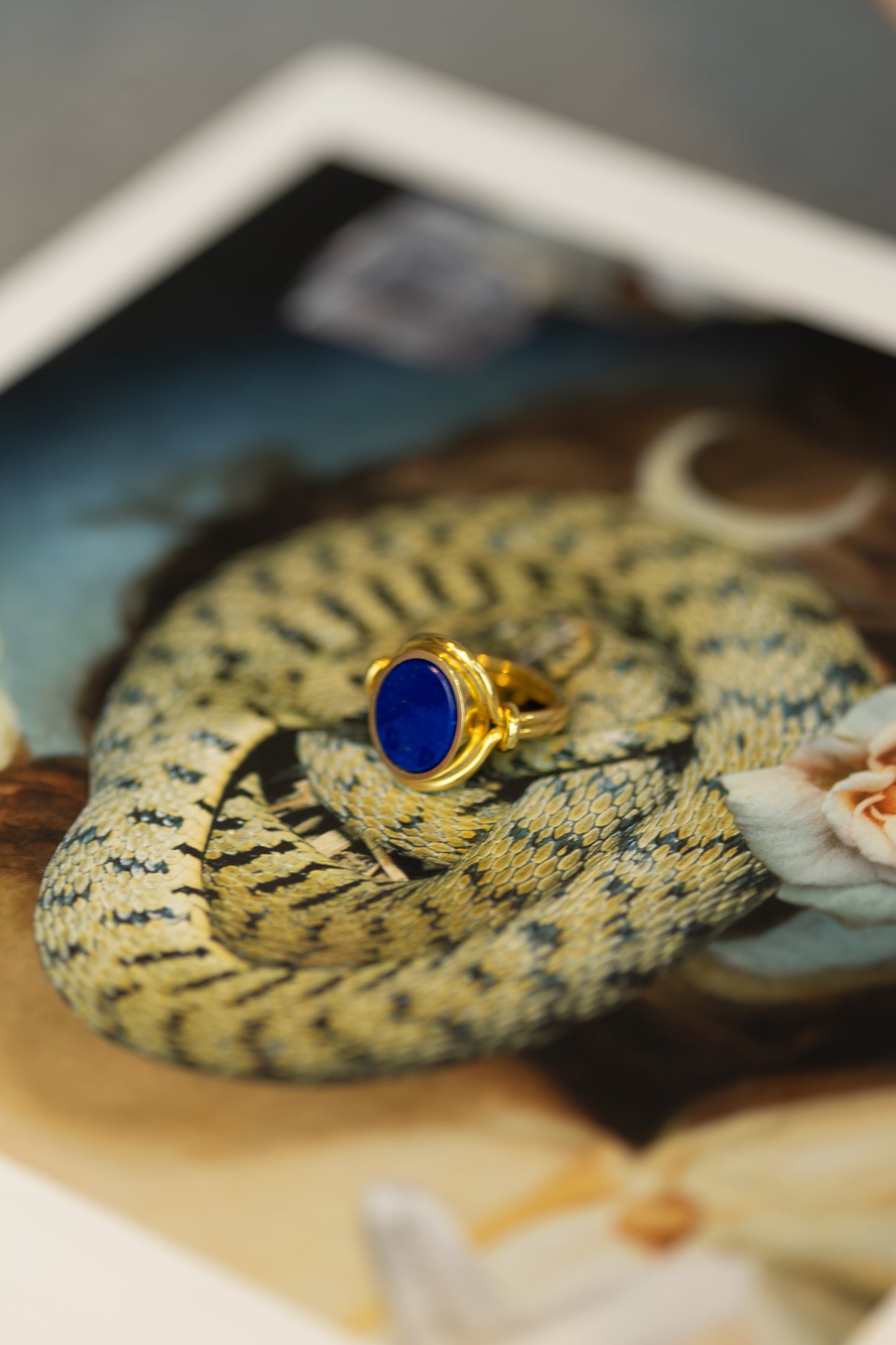 The Ultramarine Ring